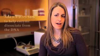 Restriction Enzyme Digest Problem: DNA Smear on Agarose Gel