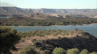 Sinfonía de Aragón de Carlos Saura