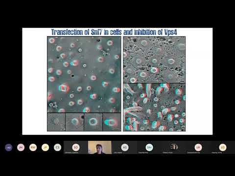 UCL Monday Seminar (25.01.2021) given by Aurelien Roux