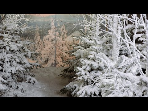 MUNTHE FALL WINTER 2022 'CRAFT SOCIETY'