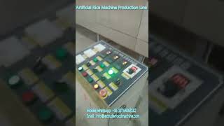 Man Made Fortified Rice Kernel FRK Production Line Artificial Instant Rice Making Machinery youtube video