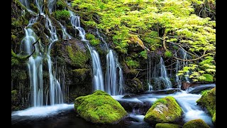 Relaxing music for Christian, #soakingworship​ #instrumentalworship​ #propheticworship​