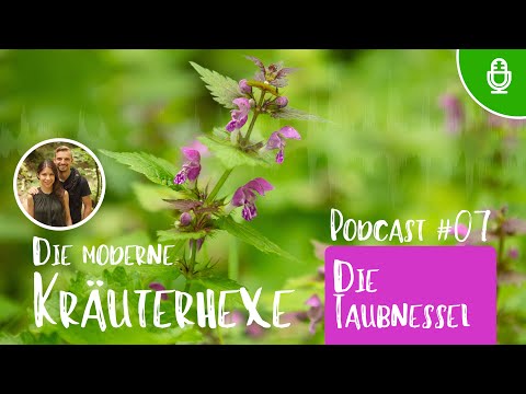 Die Taubnessel - Podcast Folge 07 - Die moderne Kräuterhexe #taubnessel #wildkräuter