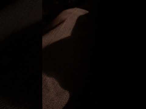 Mikala wish you were here 🌈