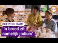 Is BROOD eigenlijk wel GEZOND voor je? | Boerend Hart