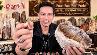 Download lagu GEBRAKAN BARU! EKSPLOR BATU FOSIL KAYU PURBA KOLEKSI ARI ARU GEMSTONE SURABAYA #batuakik #4newsgoo mp3