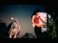 Vanessa Mae - Reflection