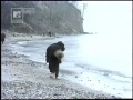 Papa Dance Ocean Wspomnień 1986 