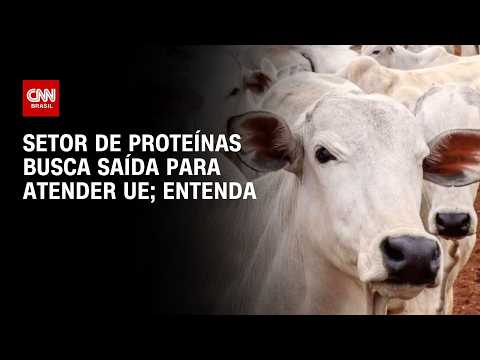 Setor de proteínas busca saída com governo para atender exigências da UE | CNN AGRO NEWS
