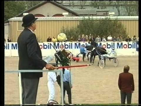 Hunyady Gedenkrennen 1990 - Das Rennen