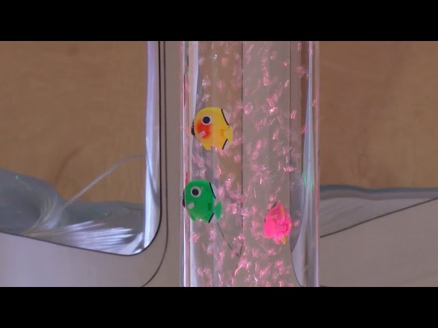 «В центре внимания»