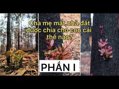 Bán đất tái định cư K8 giá rẻ, full thổ cư, mặt tiền đường N3-10 Cam Lâm K.Hòa