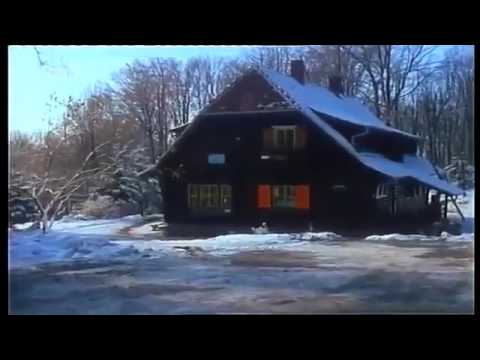 Dosije 4 epizoda   Domaca serija