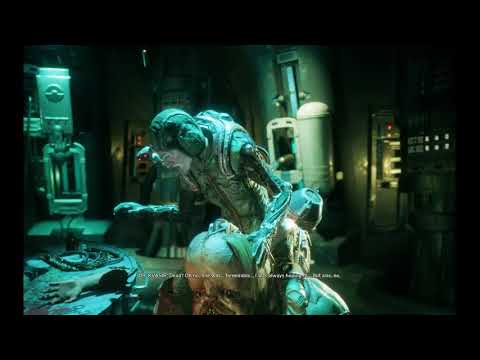 Livestream von LadyAlekto