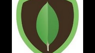 MongoDB User Group KL Feb 2013.