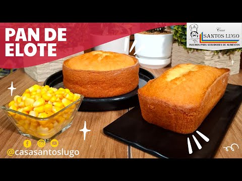 La MEJOR RECETA de PAN DE ELOTE 🍞🌽😋 ¡Fácil de preparar e ideal para emprender!