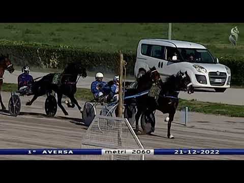 Aversa trotto 21 Dicembre 2022 - 1° Corsa