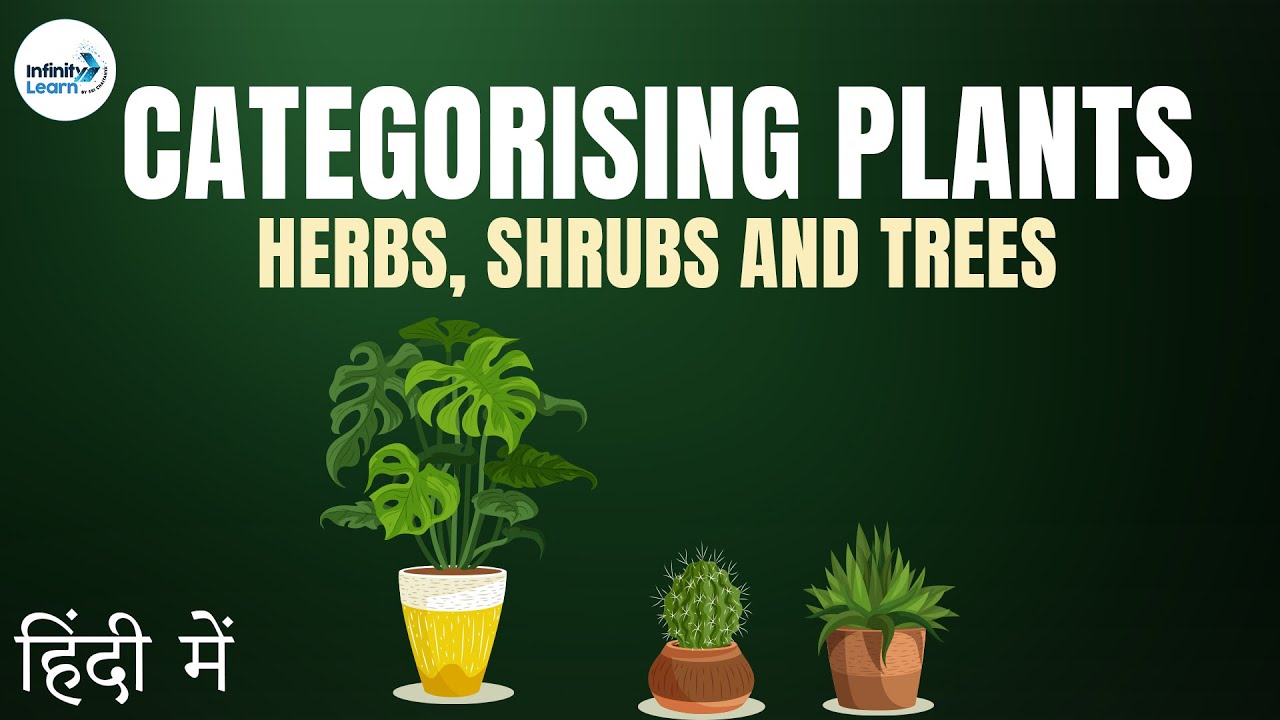 Herbs, Shrubs and Trees - in Hindi (हिंदी में )
