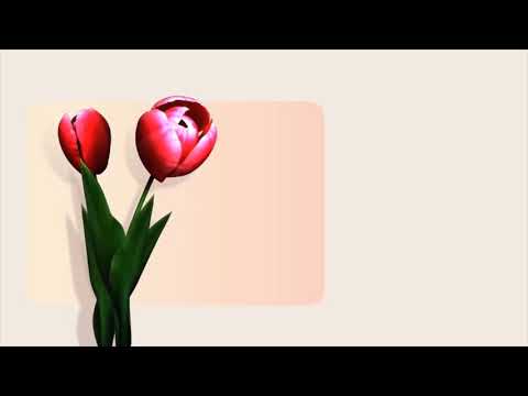 Munguunuu’s birthday