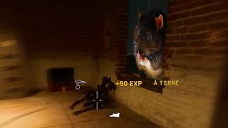 IL RESTAIT DES SALETÉS