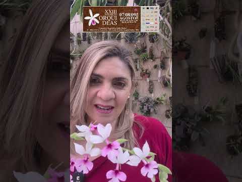 23ª Exposição de Orquídeas em Lagoa Santa-MG!📆 Quando: 07, 08 e 09 de agosto de 2026.