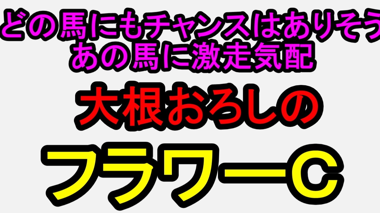 フラワーカップ2026！ここは思い切ってあの穴馬を狙う【競馬予想】
