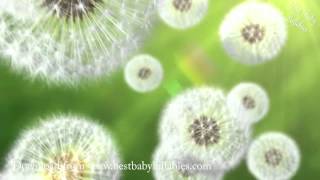 Twinkle Twinkle Little Star Lyrics  Songs Lullaby For Baby Sleep -Relax Baby Music Lullabies