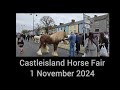 Castleisland Horse Fair 1 November 2024