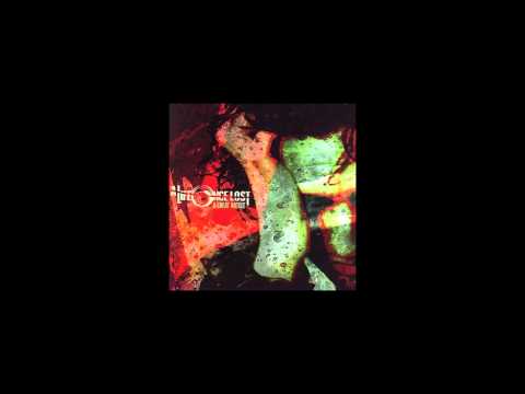 A Life Once Lost - Nevermore Will I Have An Understanding...