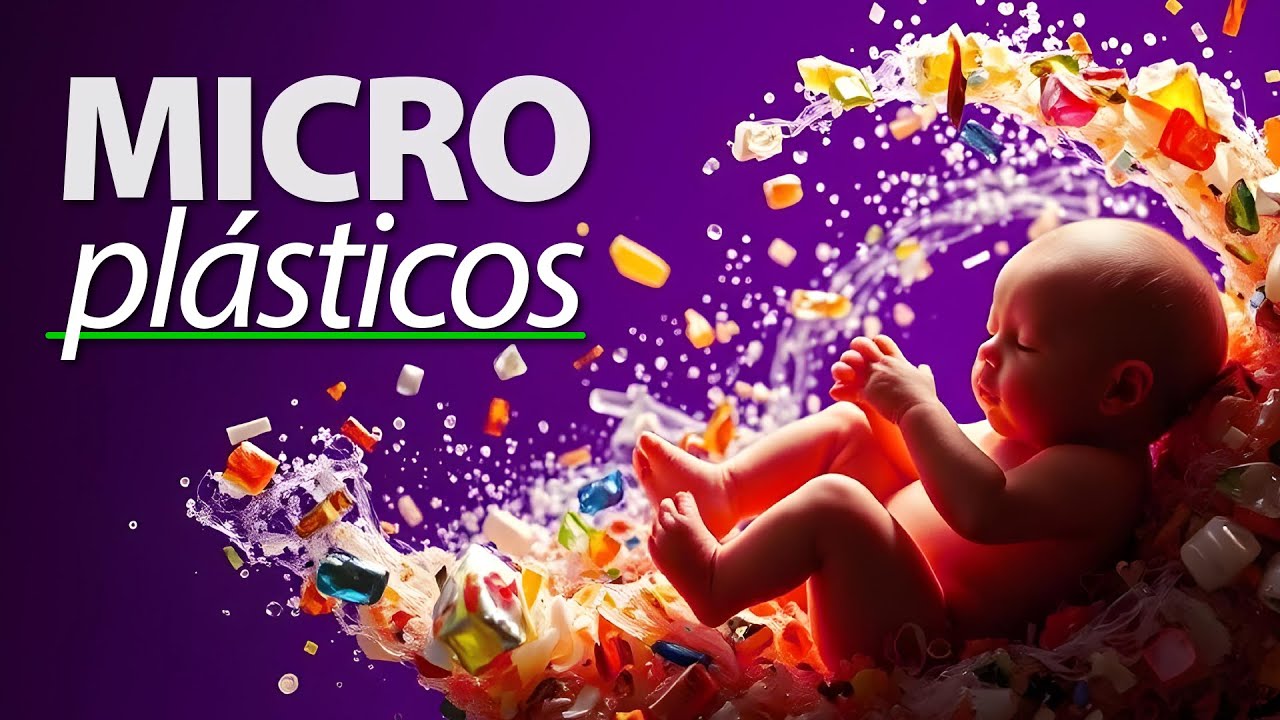 Marisol Navarrete Fernández-6