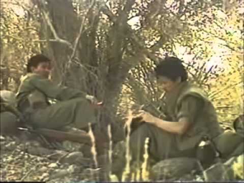 Thể hiện bởi Chế Linh