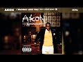 Akon I Wanna Love You Ft Snoop Dogg 432Hz