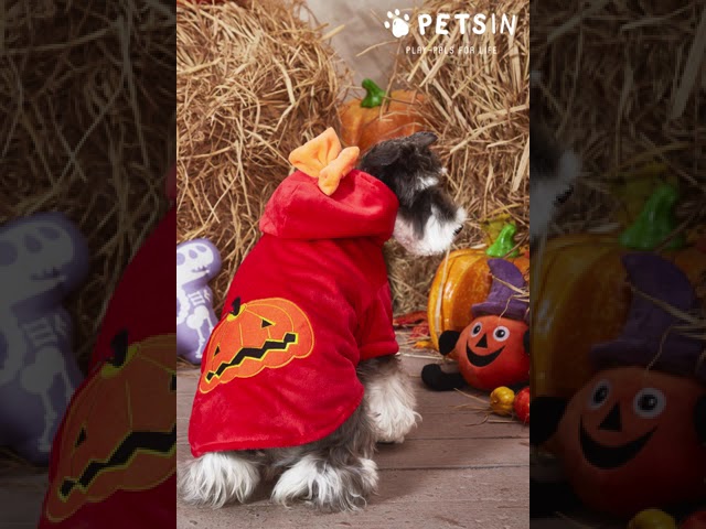 Vídeo relacionado con Lovelyshop Serie de Mascotas Lux Fur Cat Dog Cloak para Disfraces de Halloween, Rey Reina príncipe y Princesa Cosplay-S