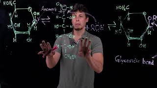 Topic 98 - Glycosidic bonds and reducing and non r