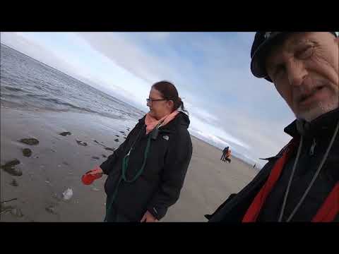 Privat  " Urlaub Tag 2 St. Peter Ording "