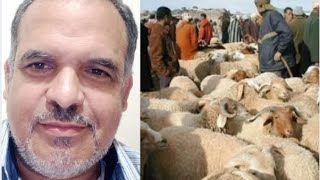 الشناقة فقط على المواطنين لا وجود لهم في الأسواق الممتازة.خروف صغير وصل ثمنه 