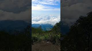 Download lagu #mentahan #story #storywa #pemandangan #gunung #shorts mp3 Download lagu #mentahan #story #storywa #pemandangan #gunung #shorts mp3