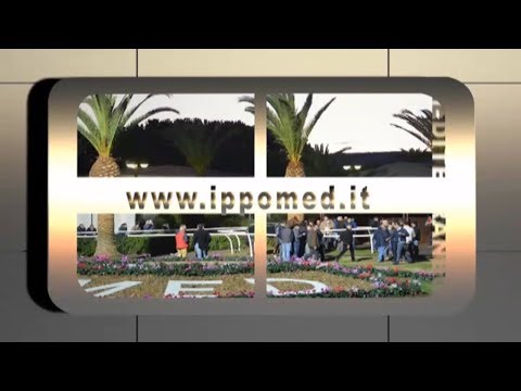 Galoppo Corse del 16 06 18