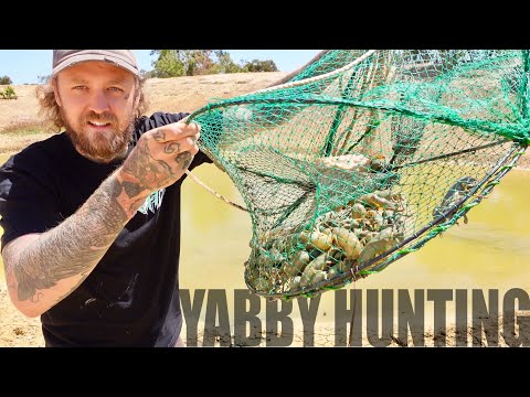 Yabby Hunting | Searching NEW Dams | (Freshwater Crayfish, Crawfish, Crawdad)