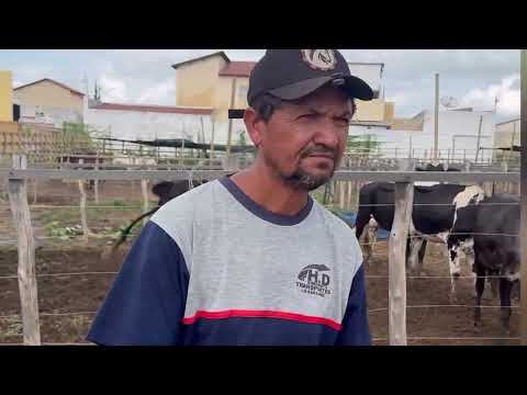 Feira do Gado em Bodocó Pernambuco Seg,23/Fev/2026