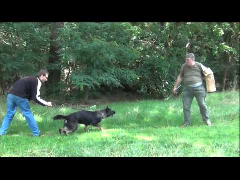 Ego vom Hofe Schumacher