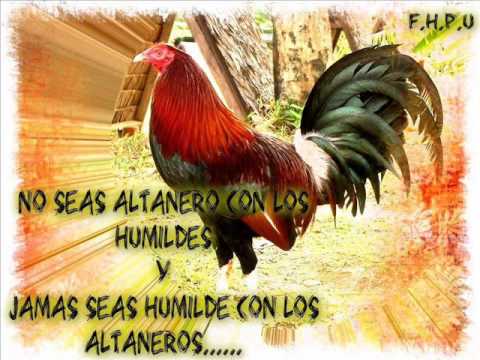 FG Me Las Doy de Coplero - Juan Farfán