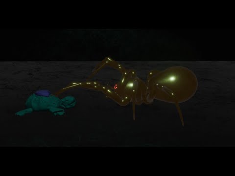 Clip 3