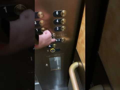 AWESOME MOTORS!!!!!!! Nice Dover C4 elevators (Thyssenkrupp Mad BS mods) at the Gaylord opryland