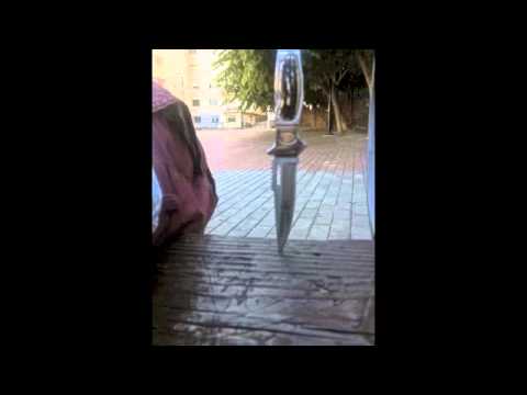 EL FRODO - PETIT TYSON