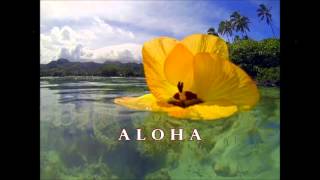 Lei Pikake by Rod Danny's with Hawaiian lyrics