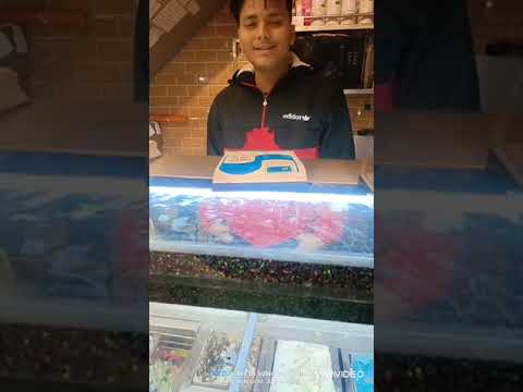 Today New Vlog Mohalla Hamara Episode No.2 Dayal House Best Bakery Of Shop Jammu.Part 2