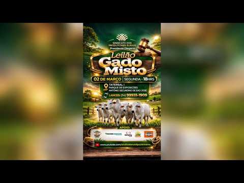LEILÃO MISTO - SIND. RURAL DE PRESIDENTE OLEGÁRIO 02/03/2026