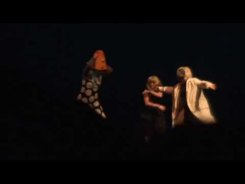 Fanime 2010 Part 58 - Masquerade Skit #24