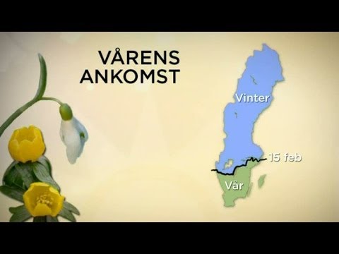 Sophia Nilsson om vårens ankomst - Nyhetsmorgon (TV4)